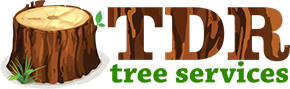 TDR Tree Services