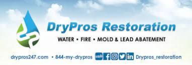 DryPros 247 