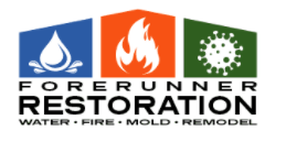 Forerunner Restoration and Remodel