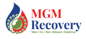 MGM Recovery