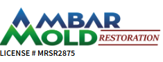 Ambar Mold Restoration